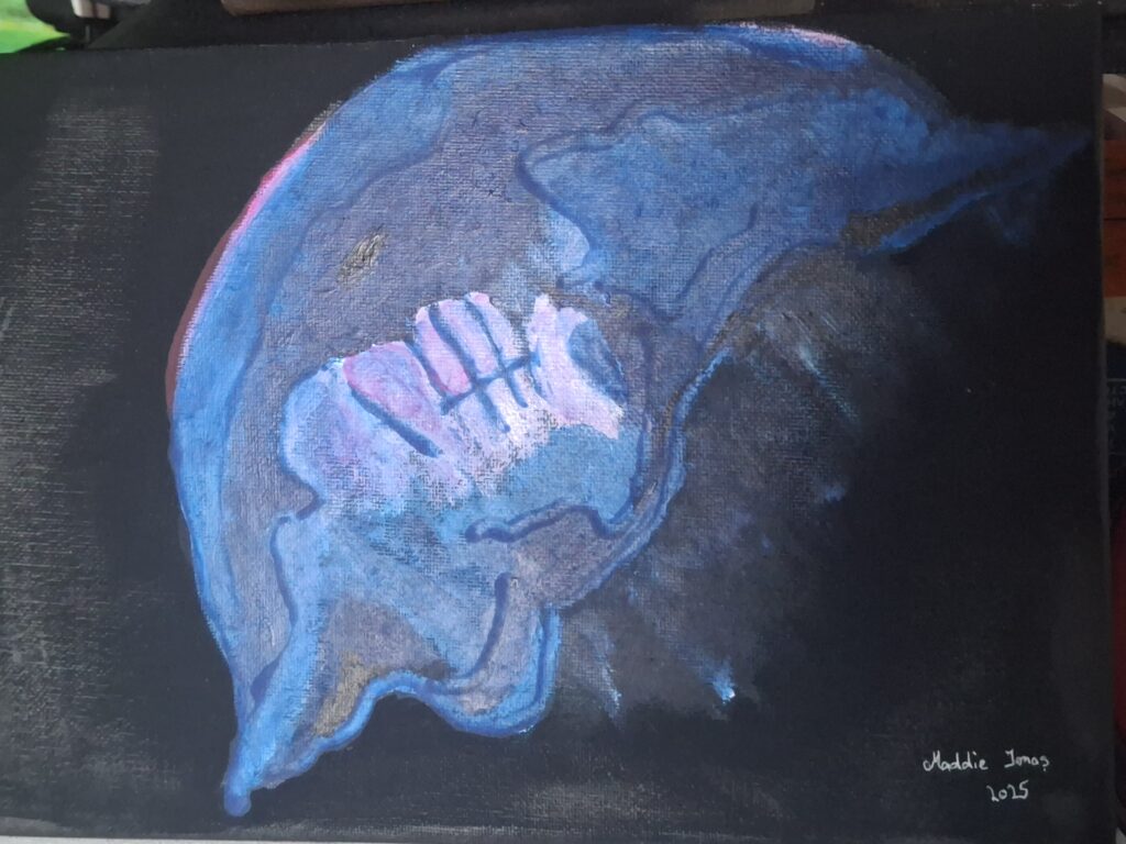 Cnidaria1